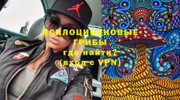 бошки Покров